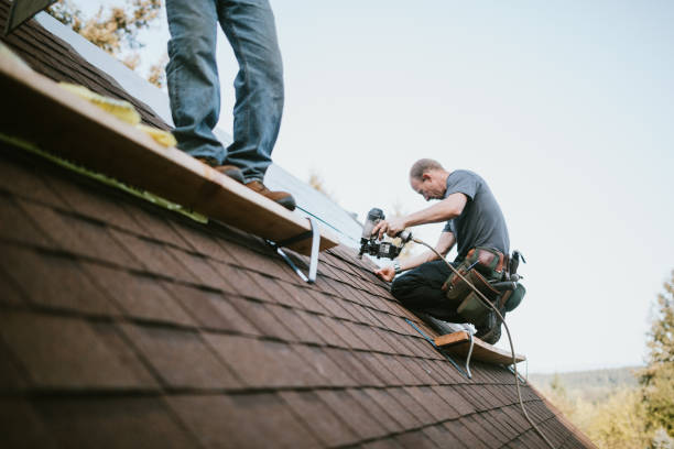 Best Roof Gutter Cleaning  in Hartley, CA